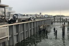 IMG_1214